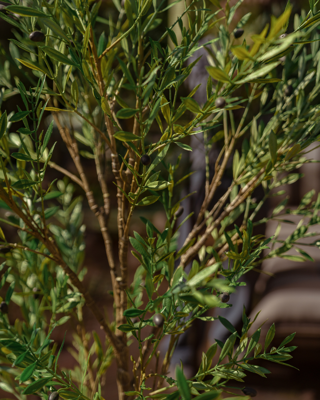 Artificial olive tree, outdoor, 175 cm