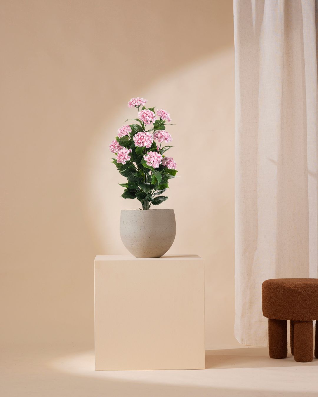 Hydrangea pink outdoor 90 cm