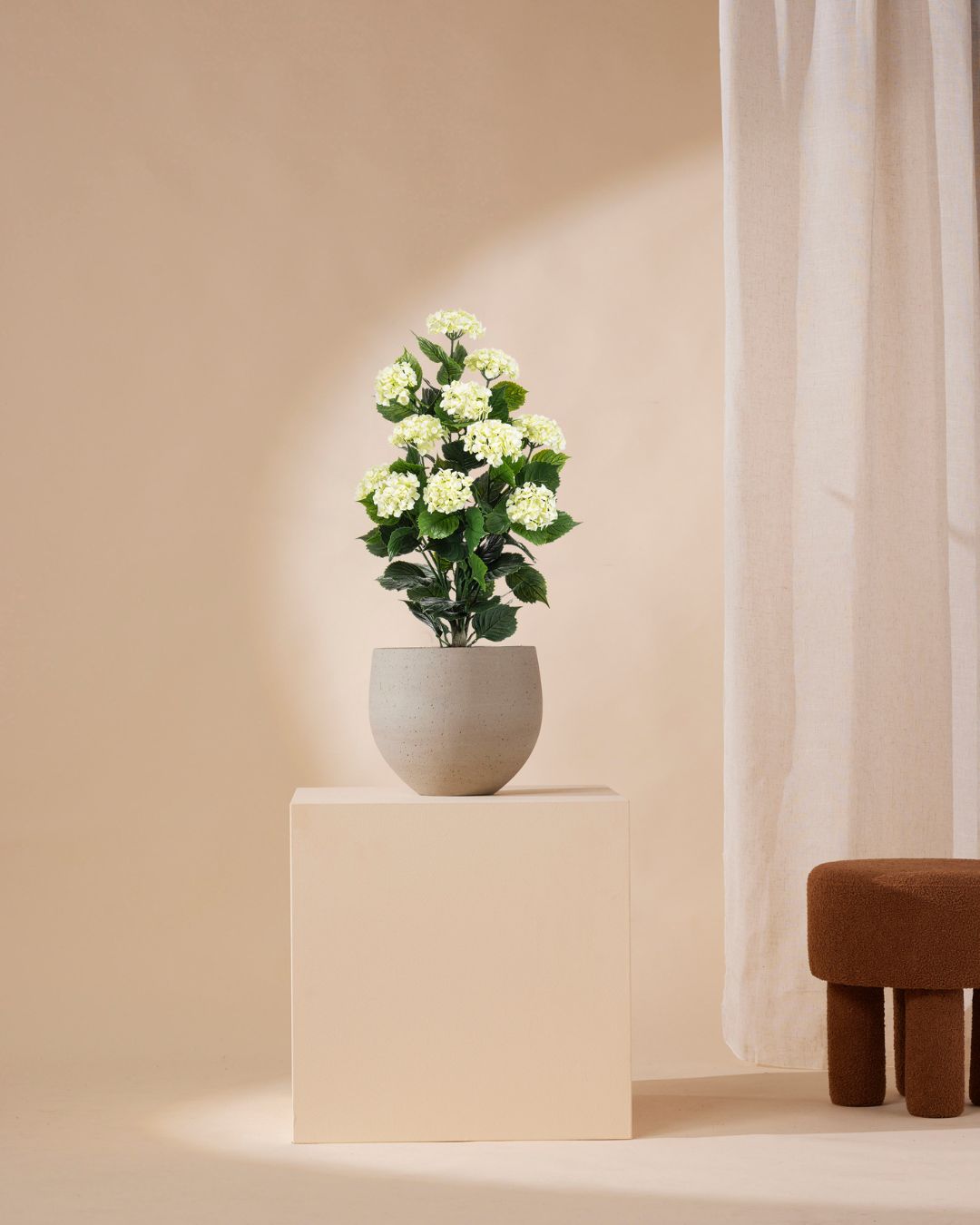 Hydrangea white outdoor 90 cm