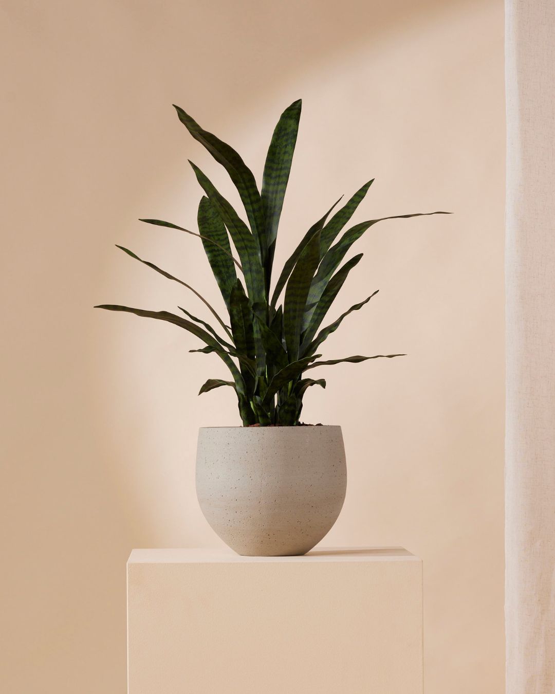 Artificial plant Sanseveria 97 cm