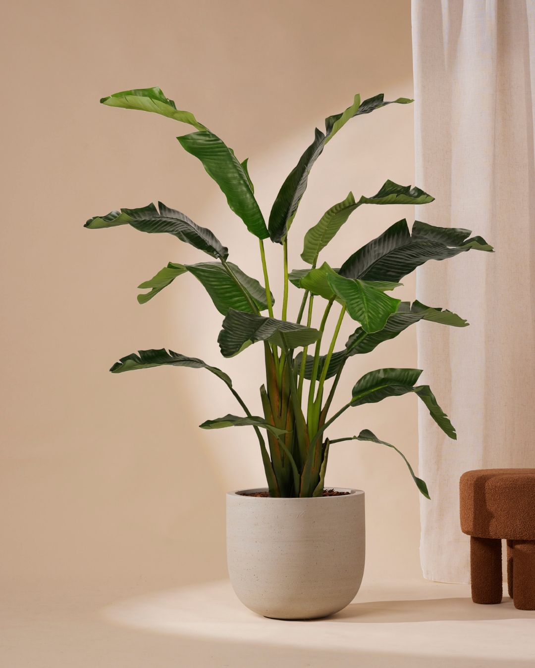 Artificial plant Strelitzia Deluxe 170 cm
