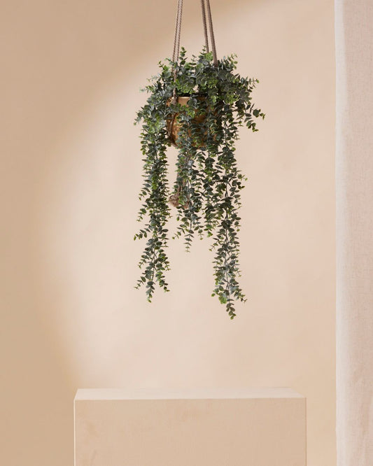 Kunstplant Eucalyptus 70 cm in pot