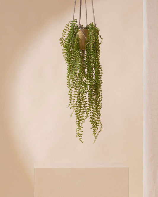 Kunstplant Ficus pumila 50 cm in pot