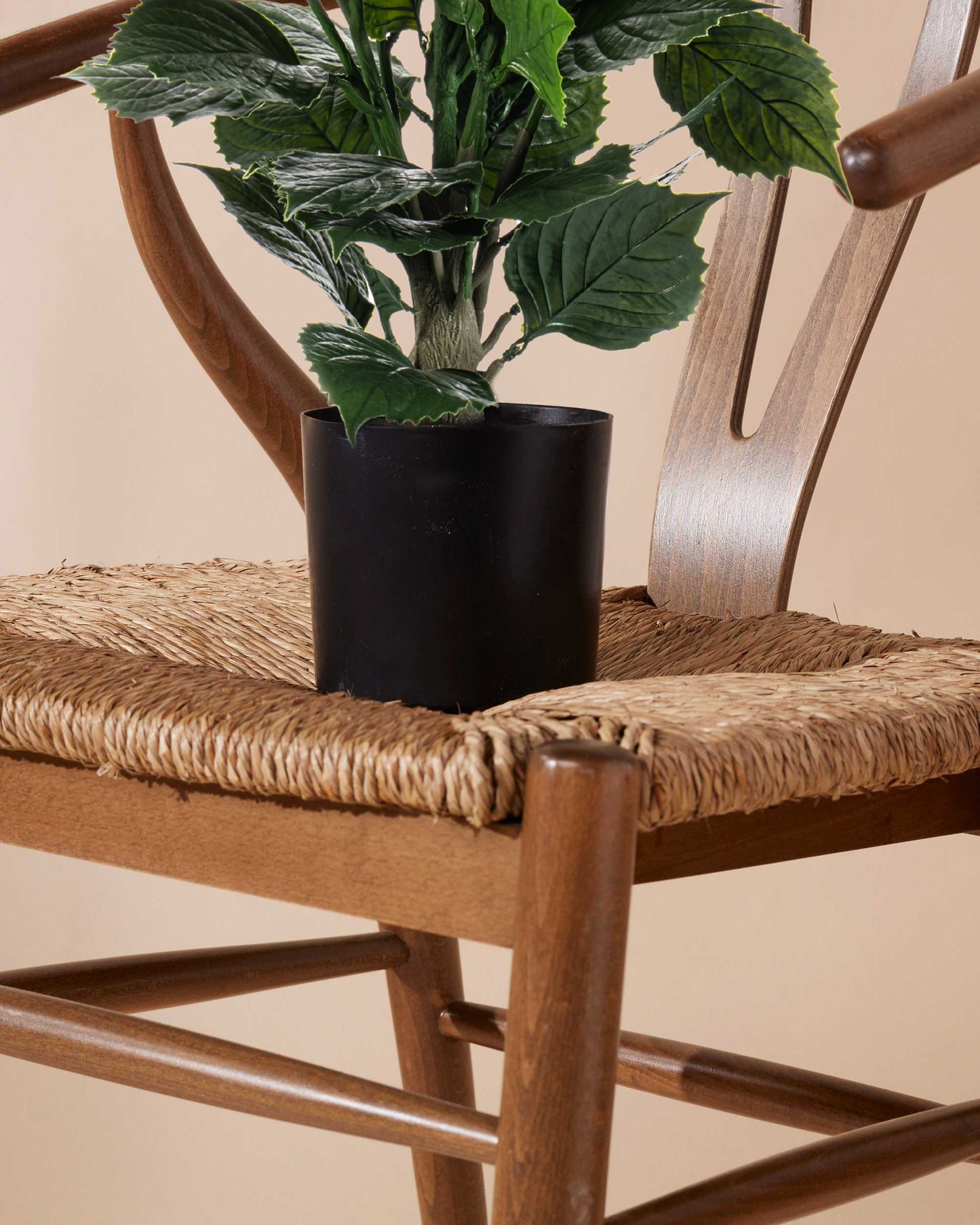 Hydrangea white outdoor 90 cm