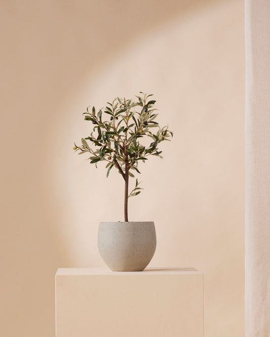 Kunstboompje Olijf 65 cm