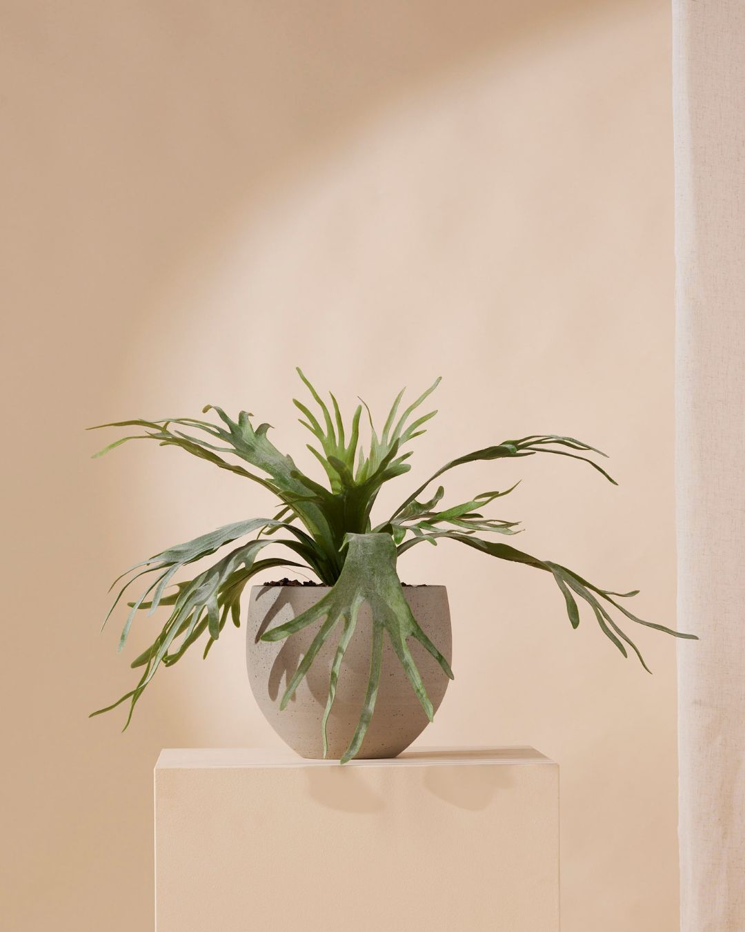 Artificial staghorn fern 60 cm