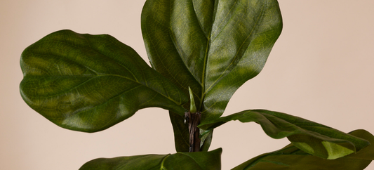 Hoe worden kunstplanten gemaakt? Een kijkje achter de schermen