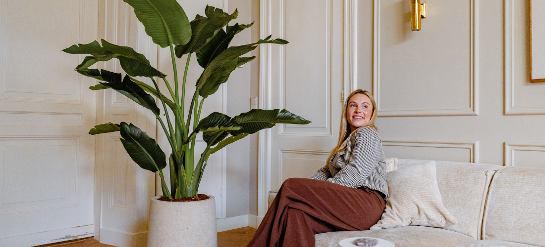 De 5 populairste kunstbomen voor de woonkamer