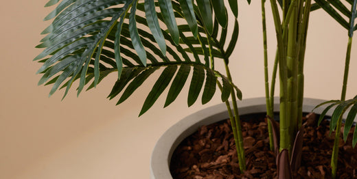 In 3 stappen maak je een kunstplant klaar voor jouw interieur