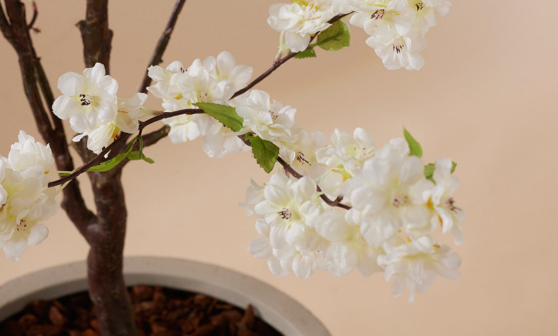 Kersenbloesem: Japanse schoonheid in een minimalistisch interieur