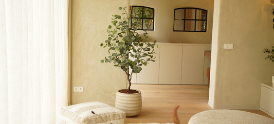 Daarom zijn planten en vloerverwarming geen ideale combinatie