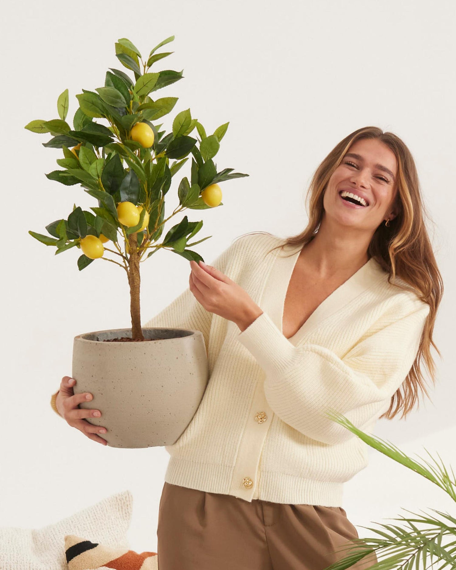 Fruitboompjes en -takken