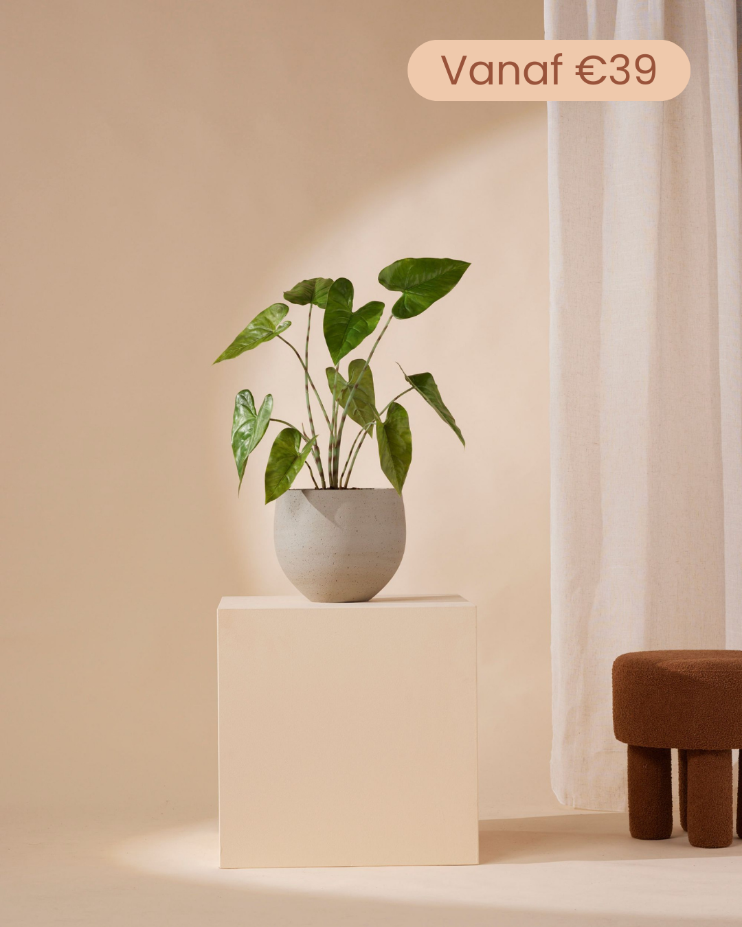 Kleine kunstplanten