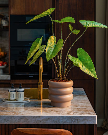 Artificial plant Alocasia zebrina 75 cm