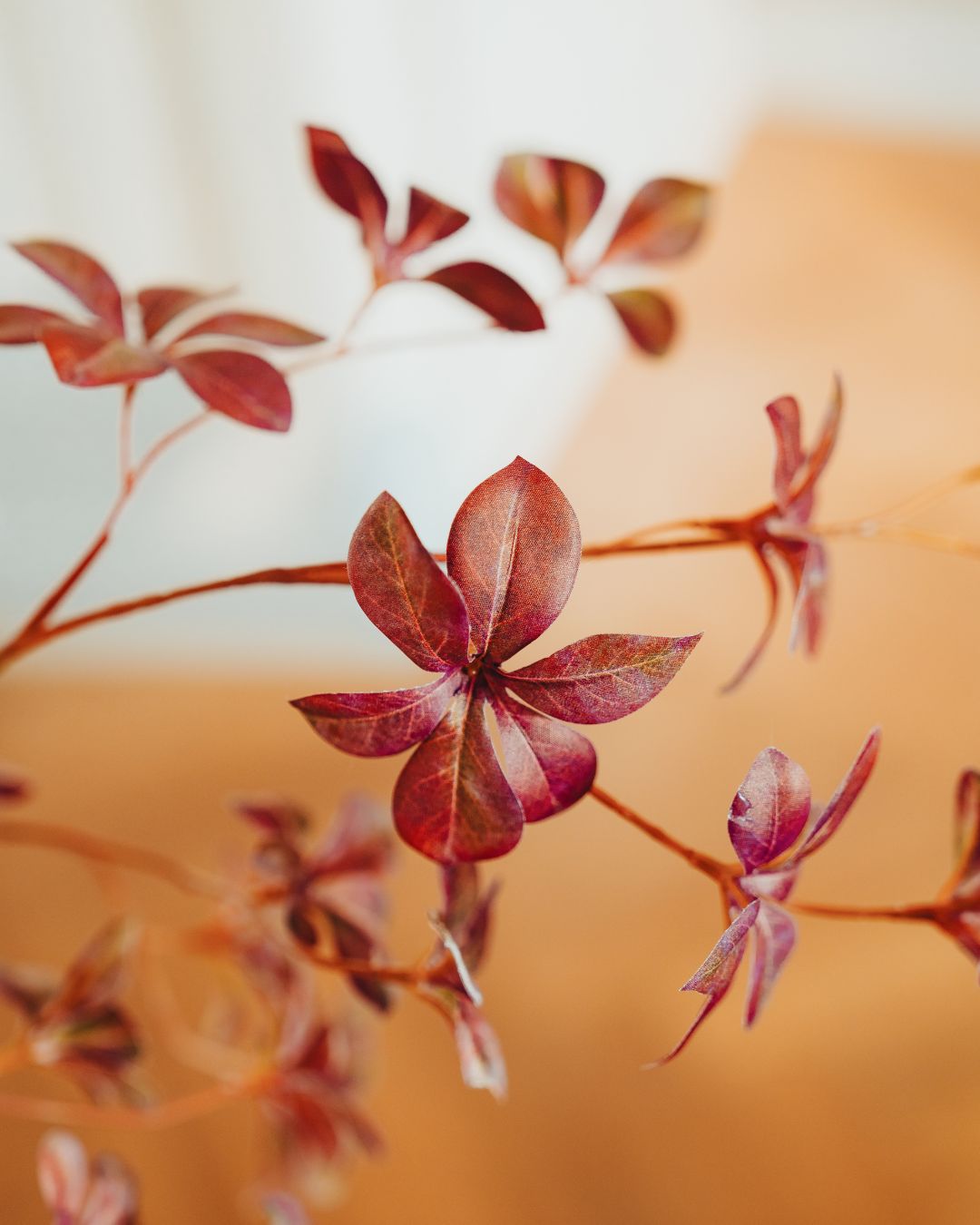 Kunstboom Tropaeolum Burgundy 210 cm