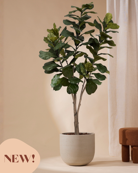 Kunstplant Ficus lyrata 210 cm