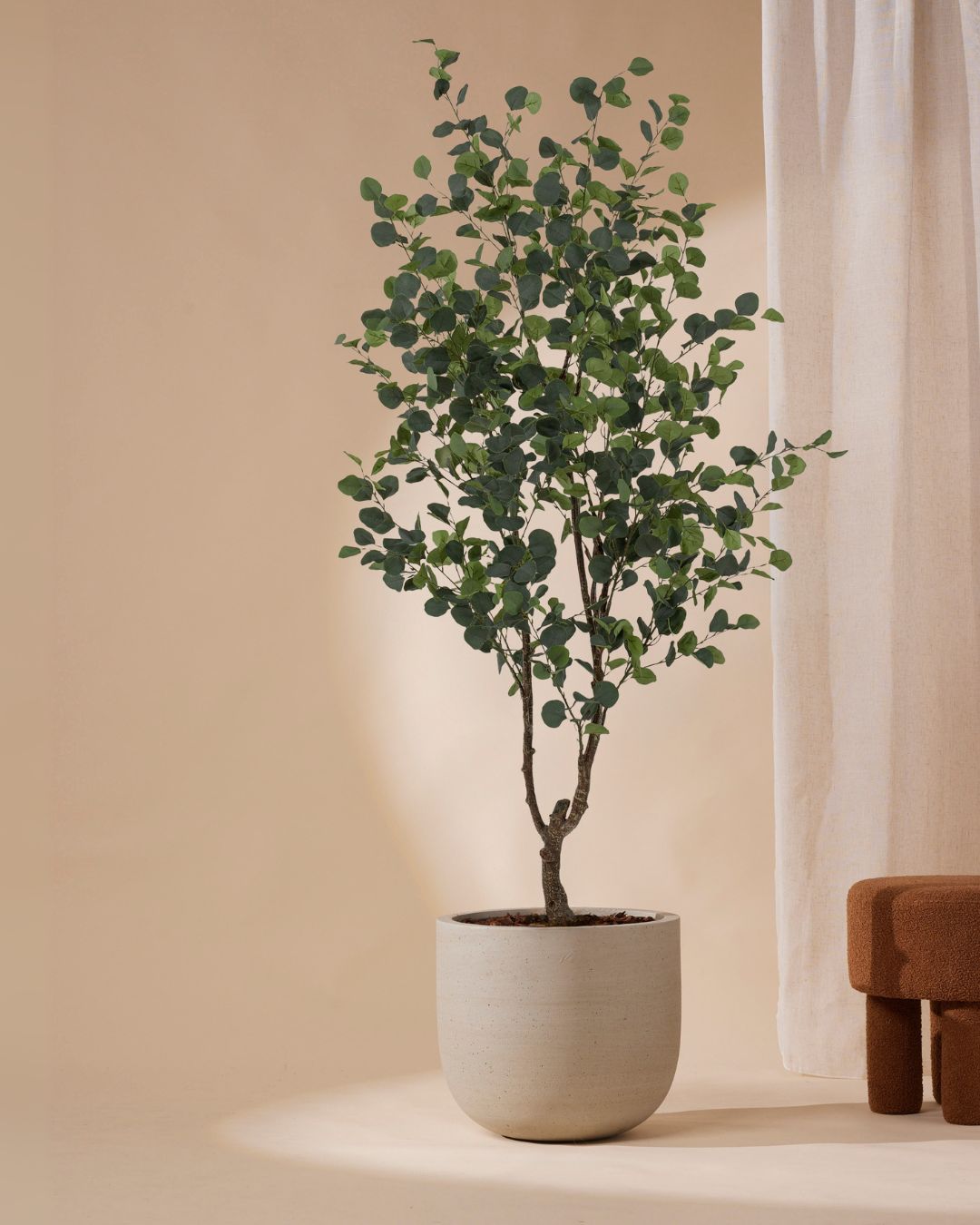 Kunstbomen Kunstmatige Plant Kunstplanten Eucalyptusboom Kunstmatig, Eucalyptusboom Faux Realistisch Zijden Bladeren Binnen Buiten Kantoor Thuis (Size : 6ft Kunstbomen Kunstmatige Plant Kunstplanten Eucalyptusboom Kunstmatig, Eucalyptusboom Faux Realistisch Zijden Bladeren Binnen Buiten Kantoor Thuis (Size : 6ft