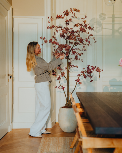 Kunstboom Tropaeolum Burgundy 210 cm