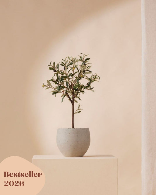 Kunstboompje-olijf-bestseller
