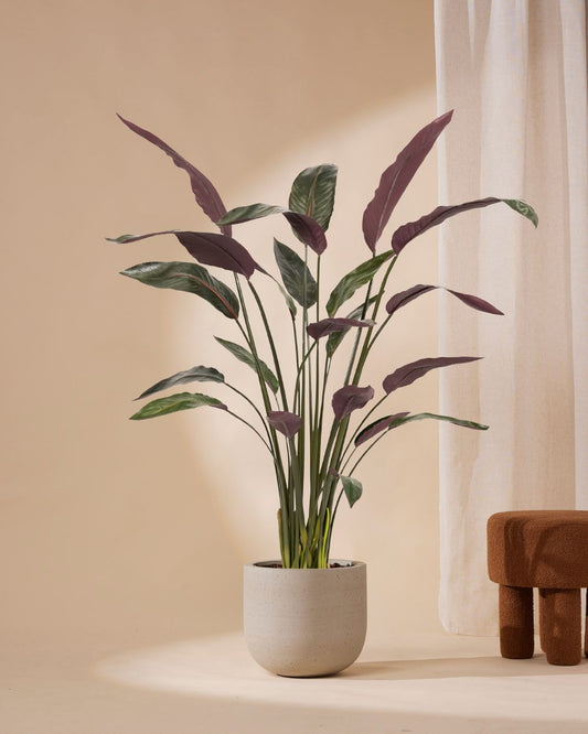 Kunstplant Heliconia 150 cm
