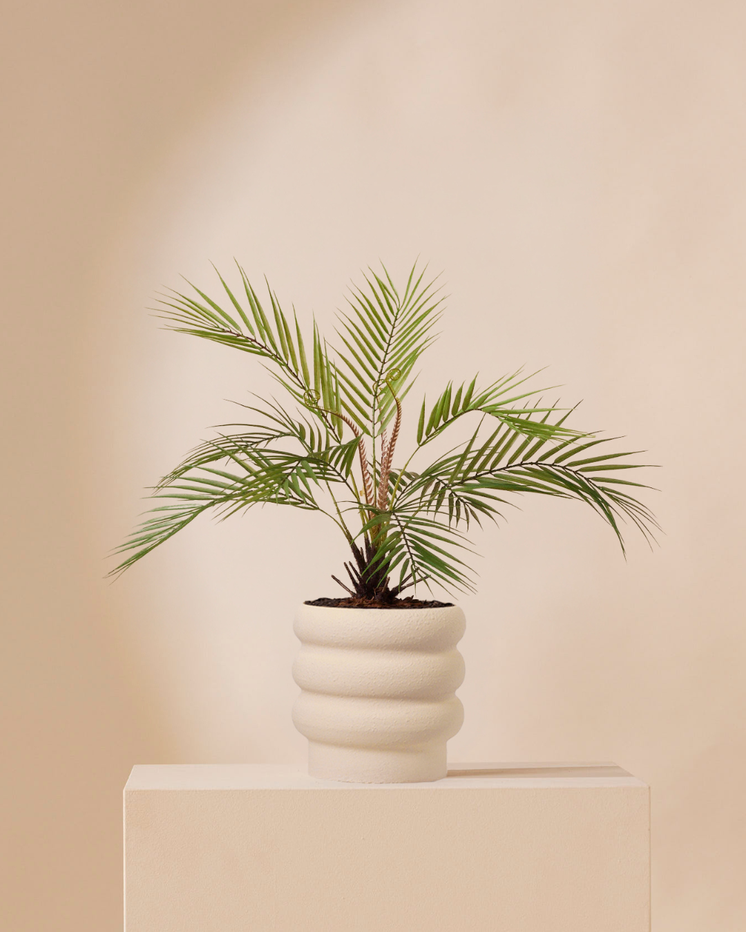 Kunstplant Palm chamaedora 50 cm