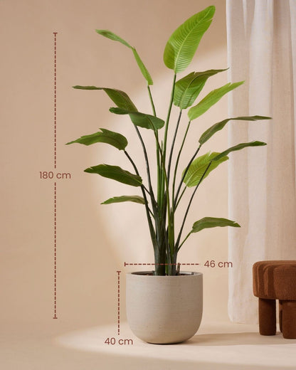 Artificial plant Strelitzia nicolai 180 cm