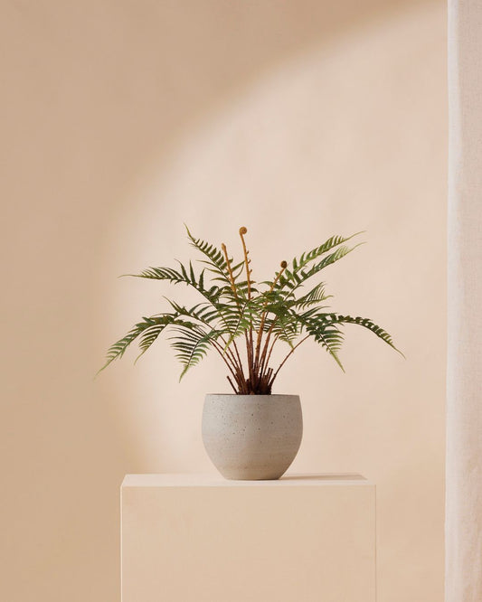 Kunstplant Varen dicksonia 60 cm