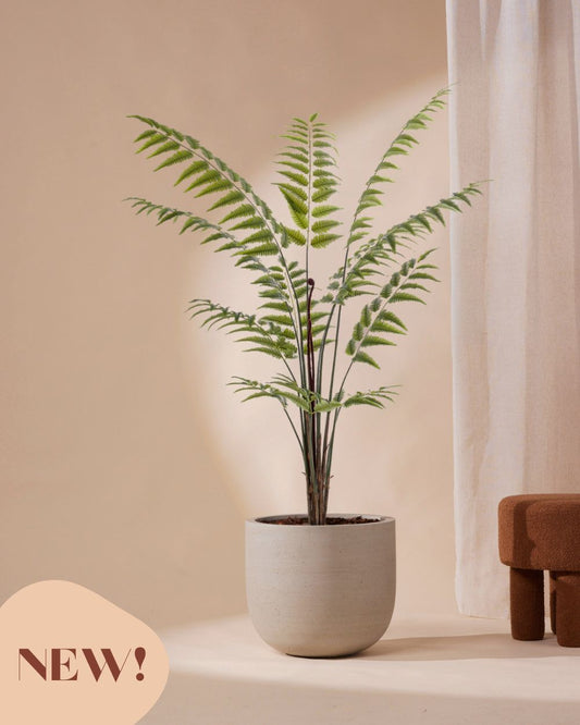 Kunstplant Ledervaren 180 cm