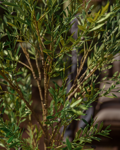 Artificial olive tree, outdoor, 175 cm