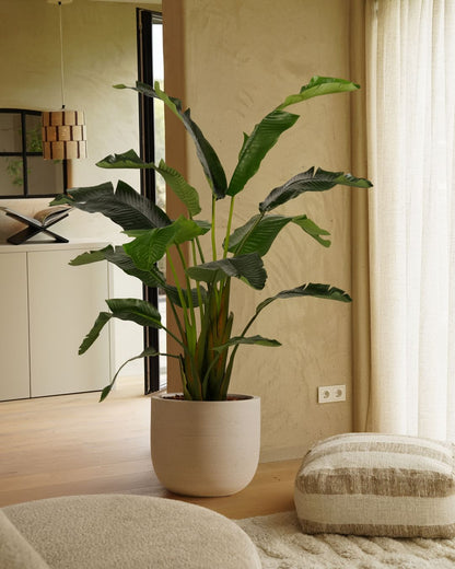 Kunstplant Strelitzia Deluxe 170 cm