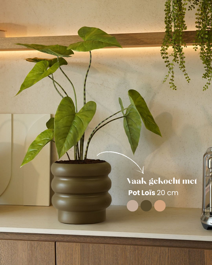 Artificial plant Alocasia zebrina 75 cm