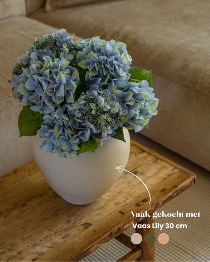 Five hydrangeas 47 cm
