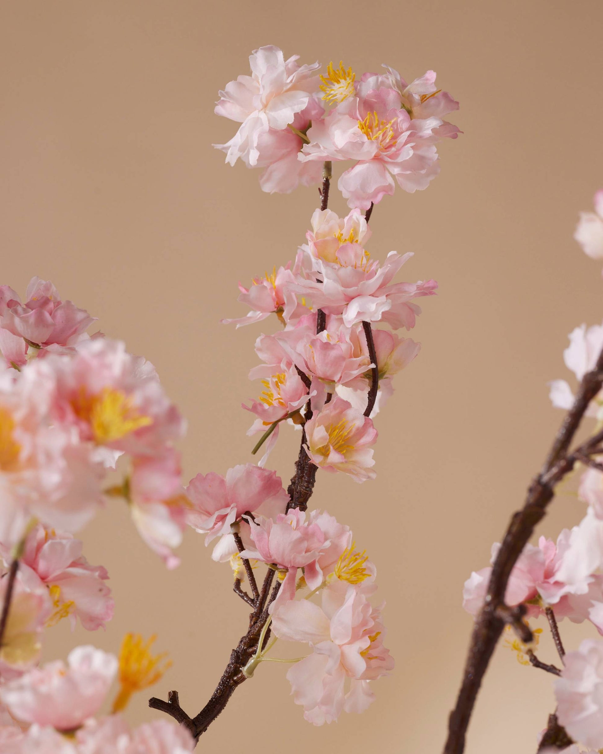 Drie Cherry roze blossom takken 120 cm - RHODÉ