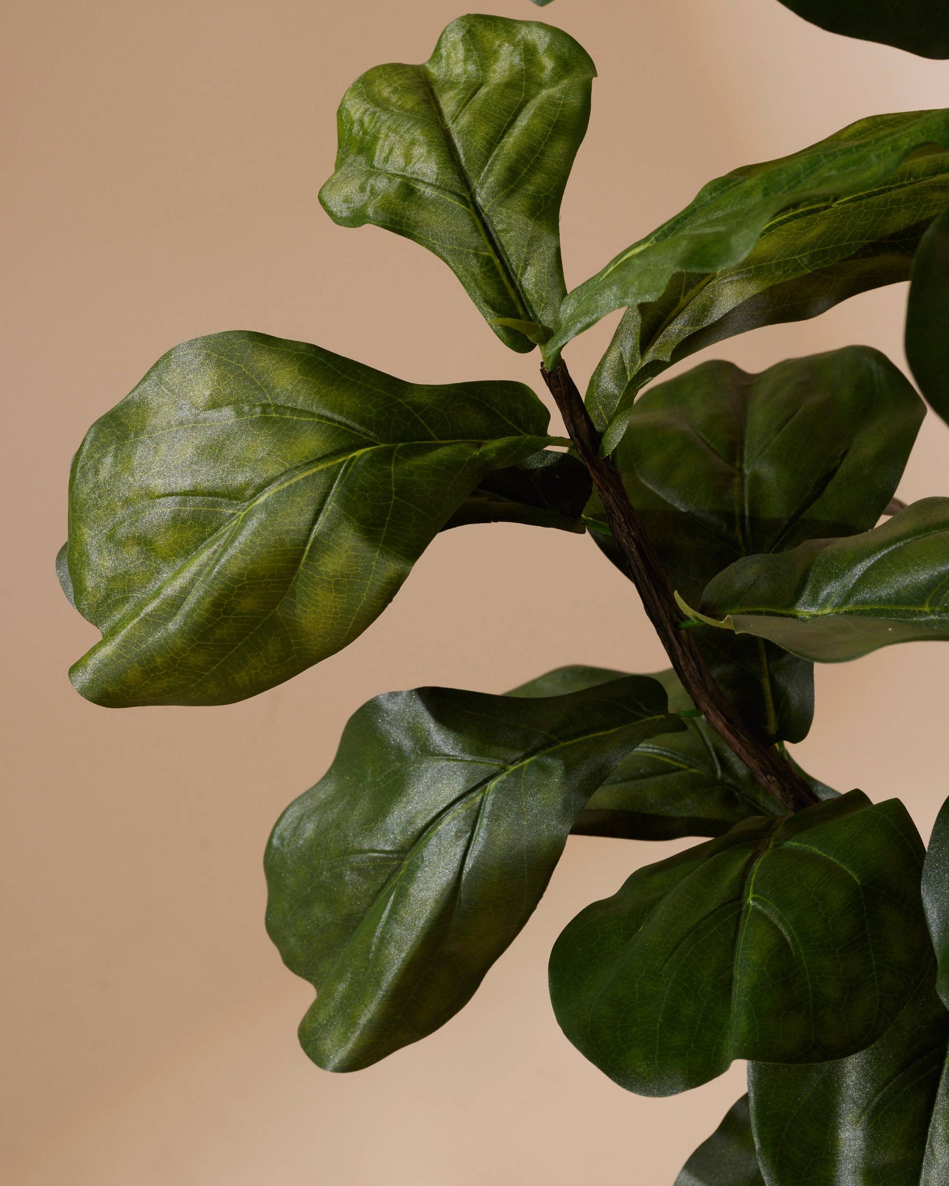 Kunstplant Ficus lyrata 120 cm - RHODÉ