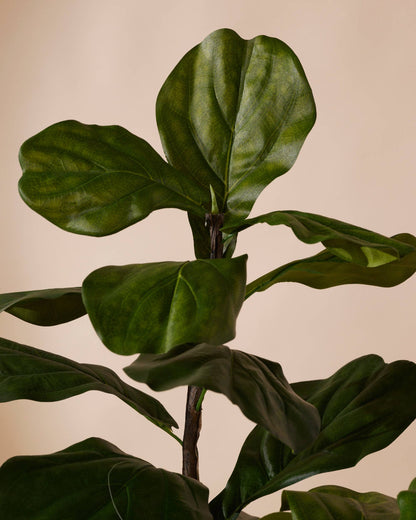 Kunstplant Ficus lyrata 180 cm - RHODÉ