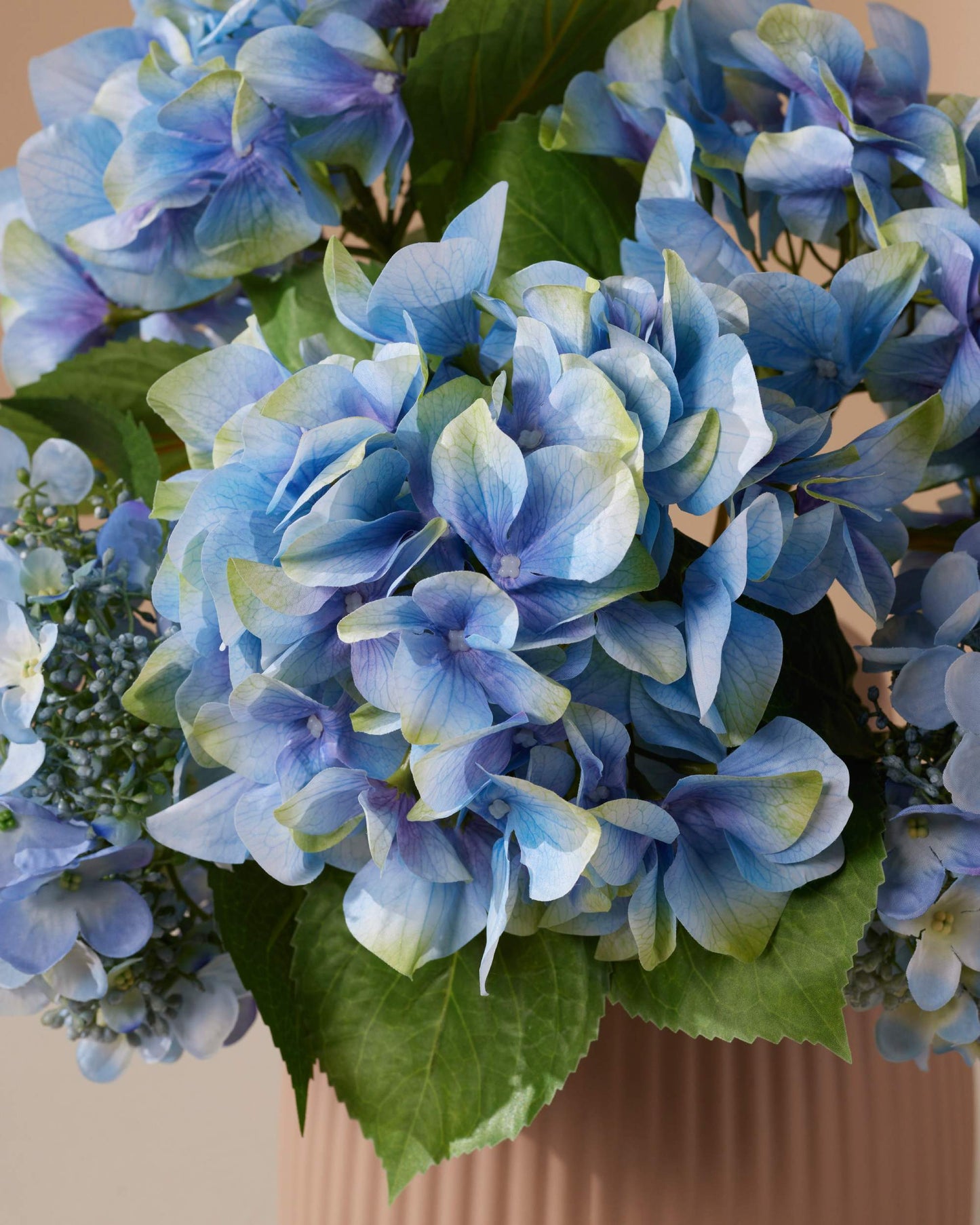 Vijf hortensia's 47 cm - RHODÉ