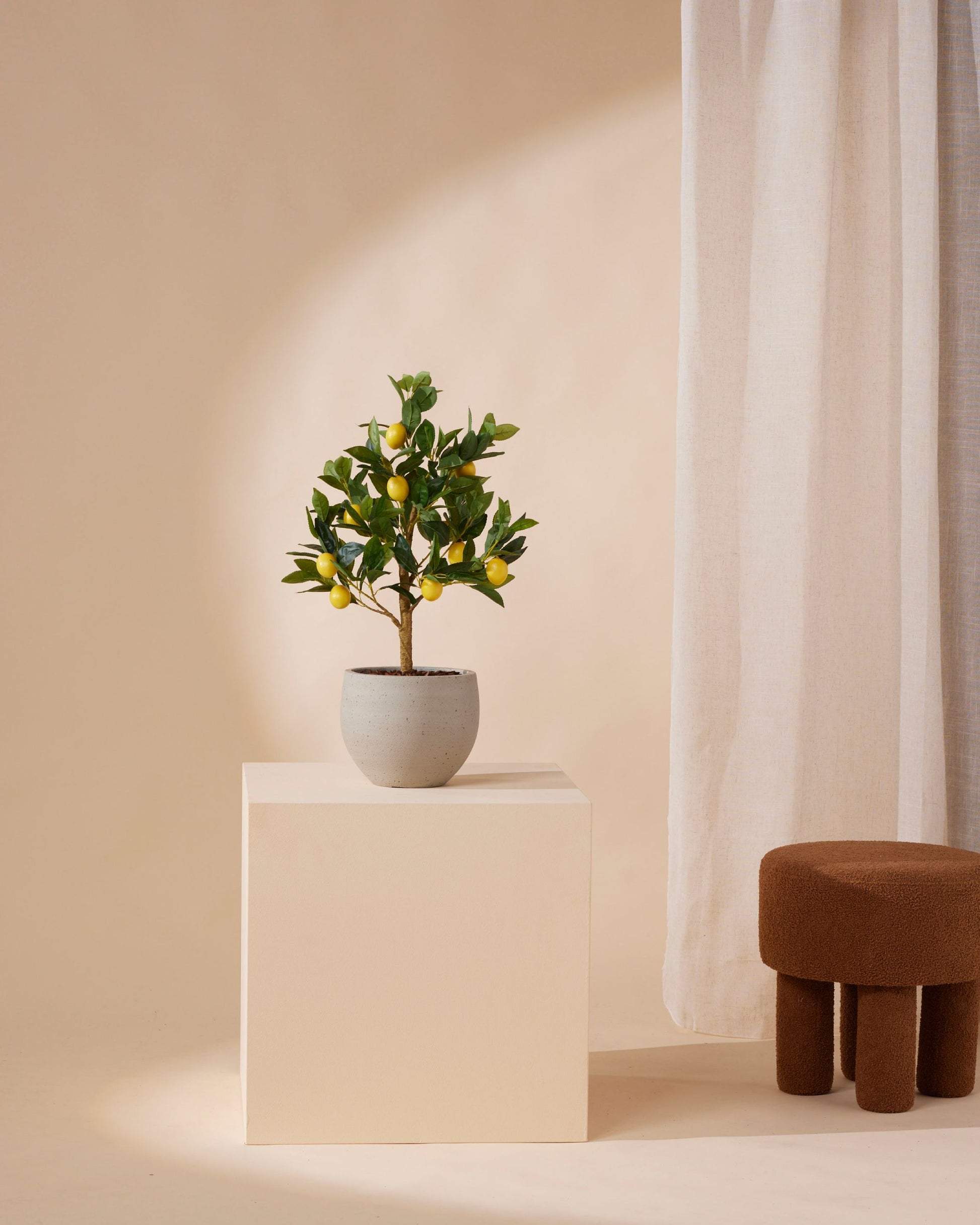 9 Inch Kunstmatige Fruit Citroen Ingemaakte Planten Nep Citroenboom Bonsai Met Plastic Pot Voor Thuis Tafel Bureau Kantoor Badkamer Decor 9 Inch Kunstmatige Fruit Citroen Ingemaakte Planten Nep Citroenboom Bonsai Met Plastic Pot Voor Thuis Tafel Bureau Kantoor Badkamer Decor