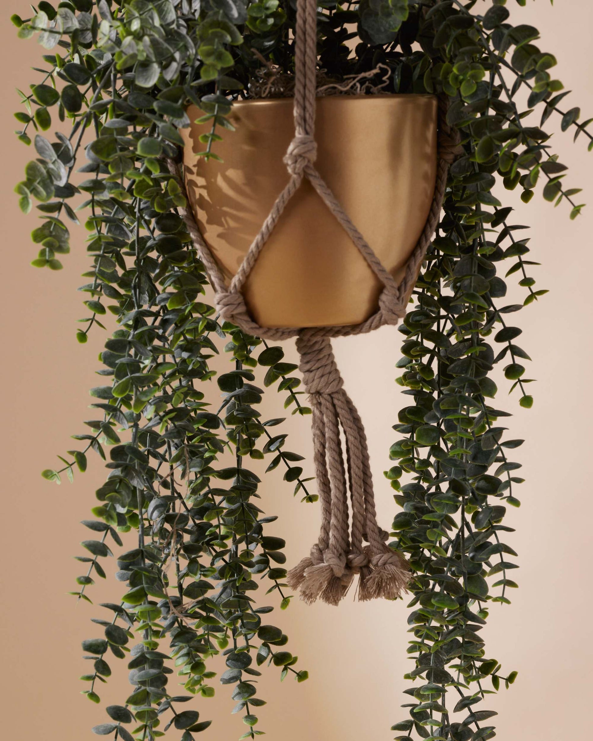 eucalyptus hanging plant real Artificial Eucalyptus Plant in Pot | 70 cm