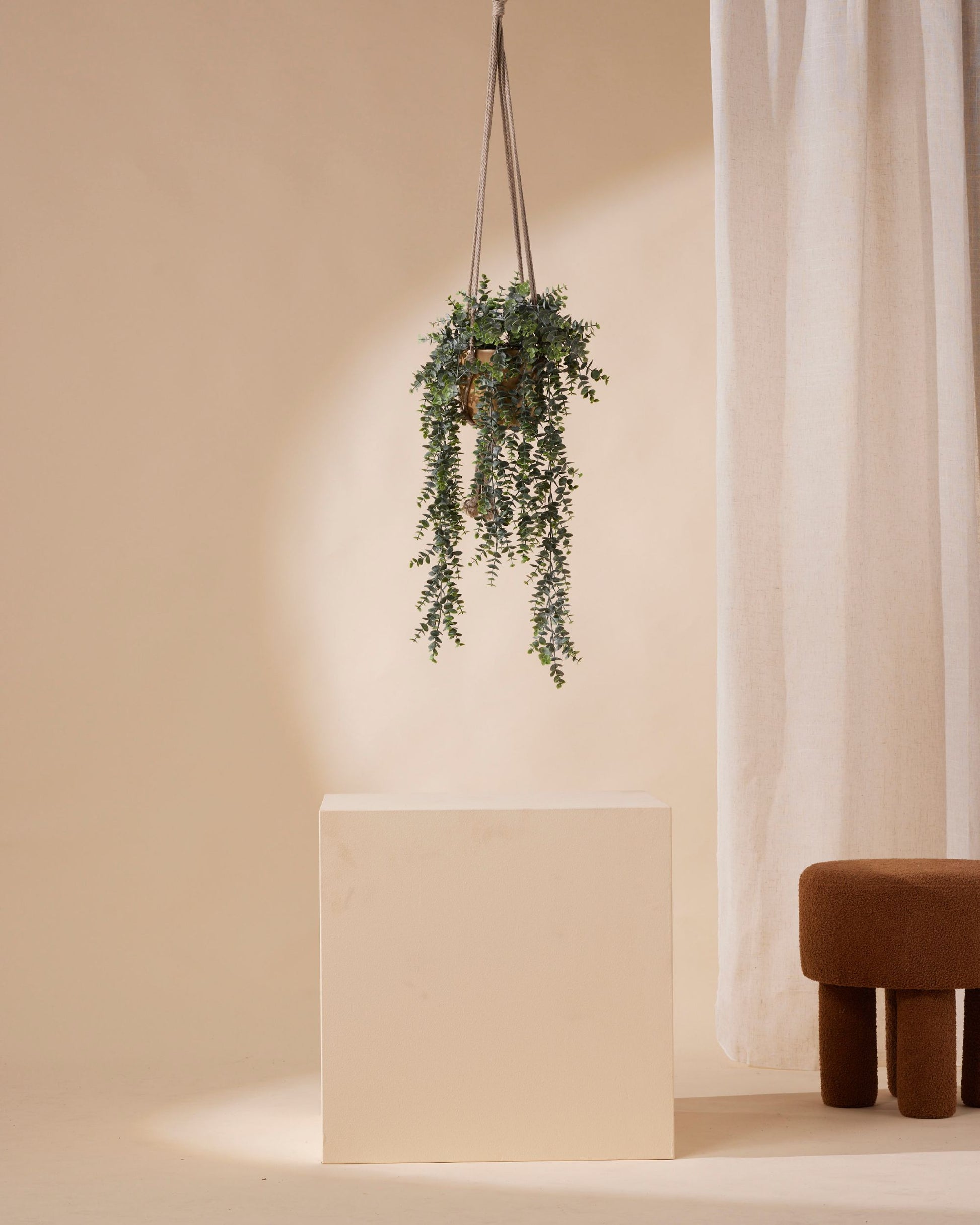 eucalyptus hanging plant Artificial Eucalyptus Plant in Pot | 70 cm