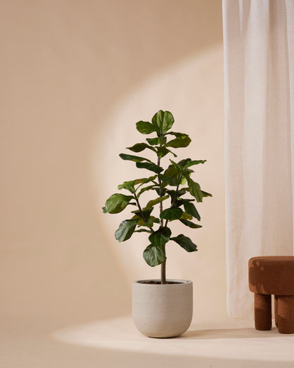 artificial plants fiddle leaf fig Artificial Ficus Lyrata Plant 120 cm