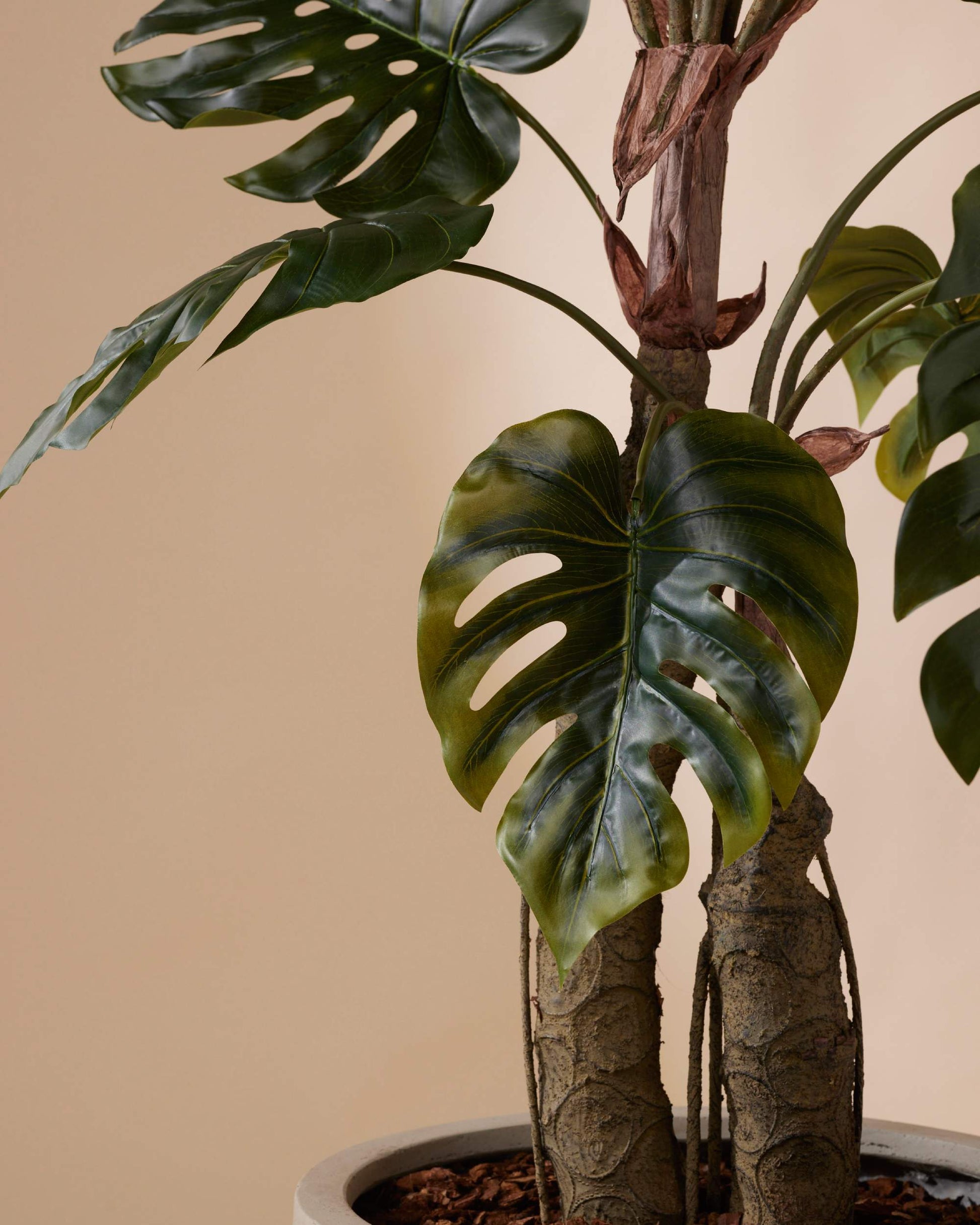 monstera deliciosa 150 cm Artificial Monstera on Trunk | 150 cm