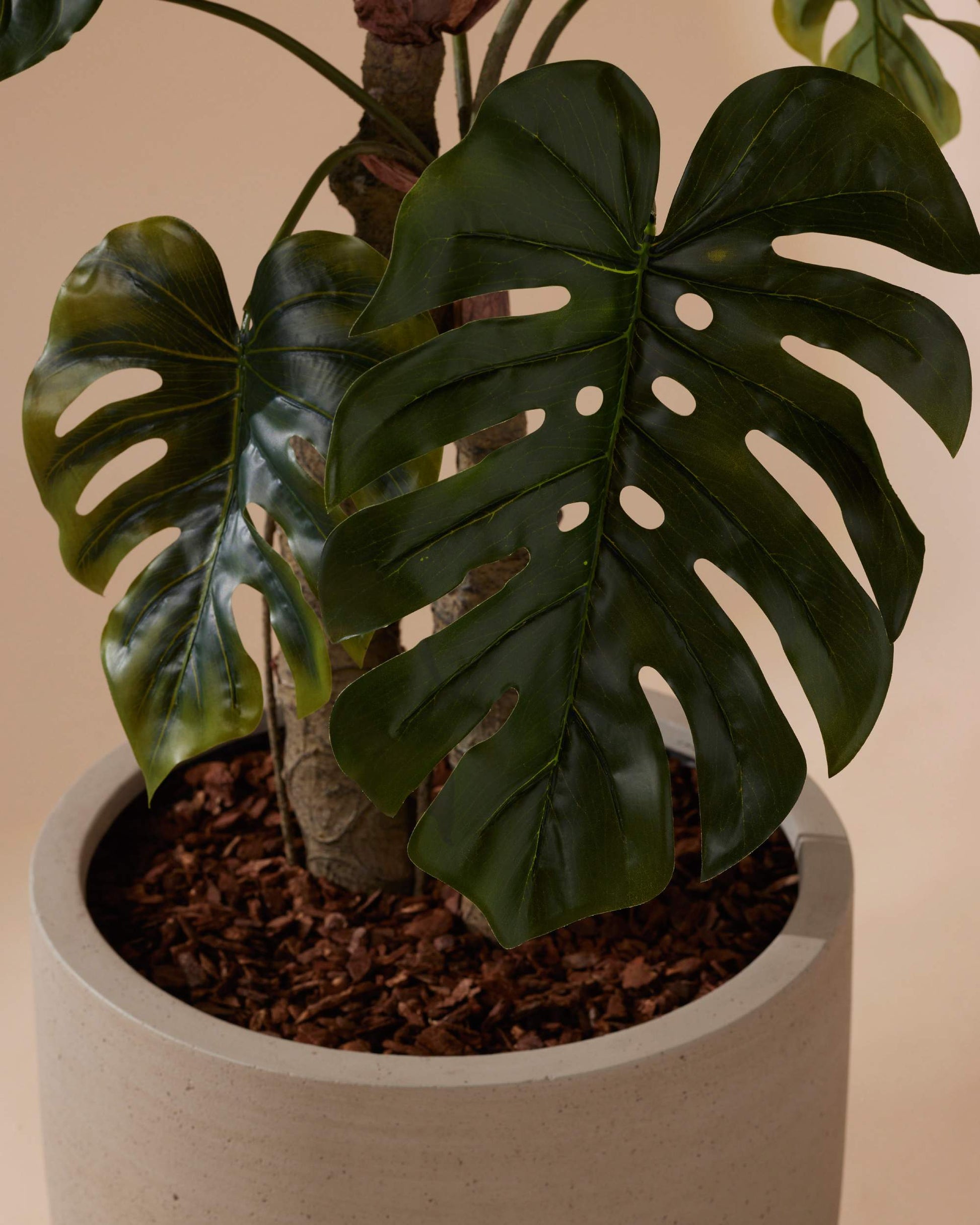monstera deliciosa 150 cm Kunstplant Monstera op stam | 150 cm | kunstboom met botanische magie