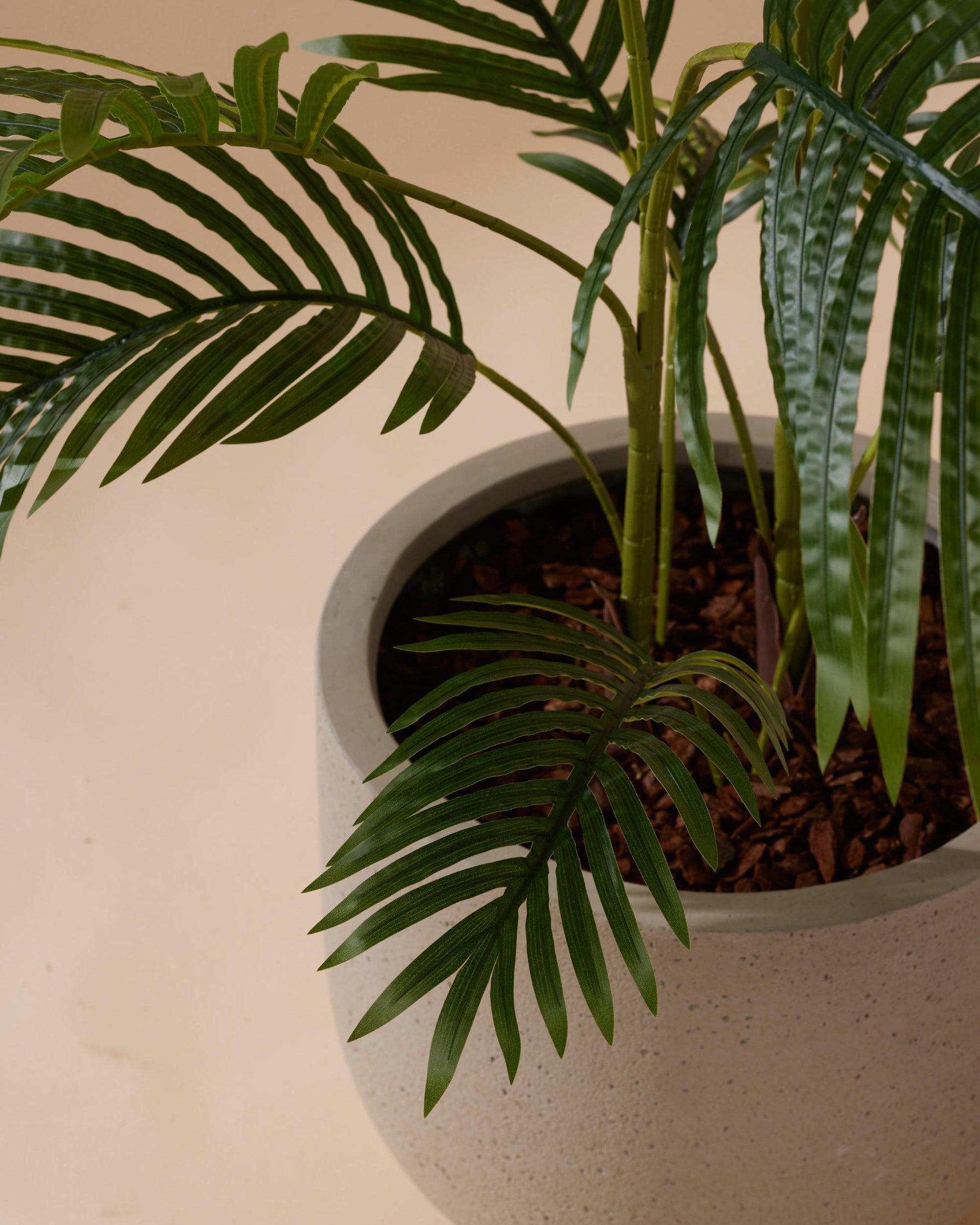 my palm plant has white spots Artificial Palm Plant | 140 cm | artificial plant with characteristic tropical foliage