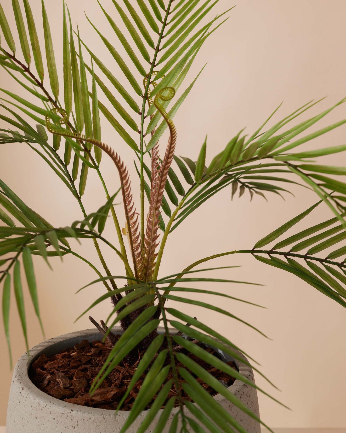 Kunstplant Palm chamaedora 50 cm - RHODÉ