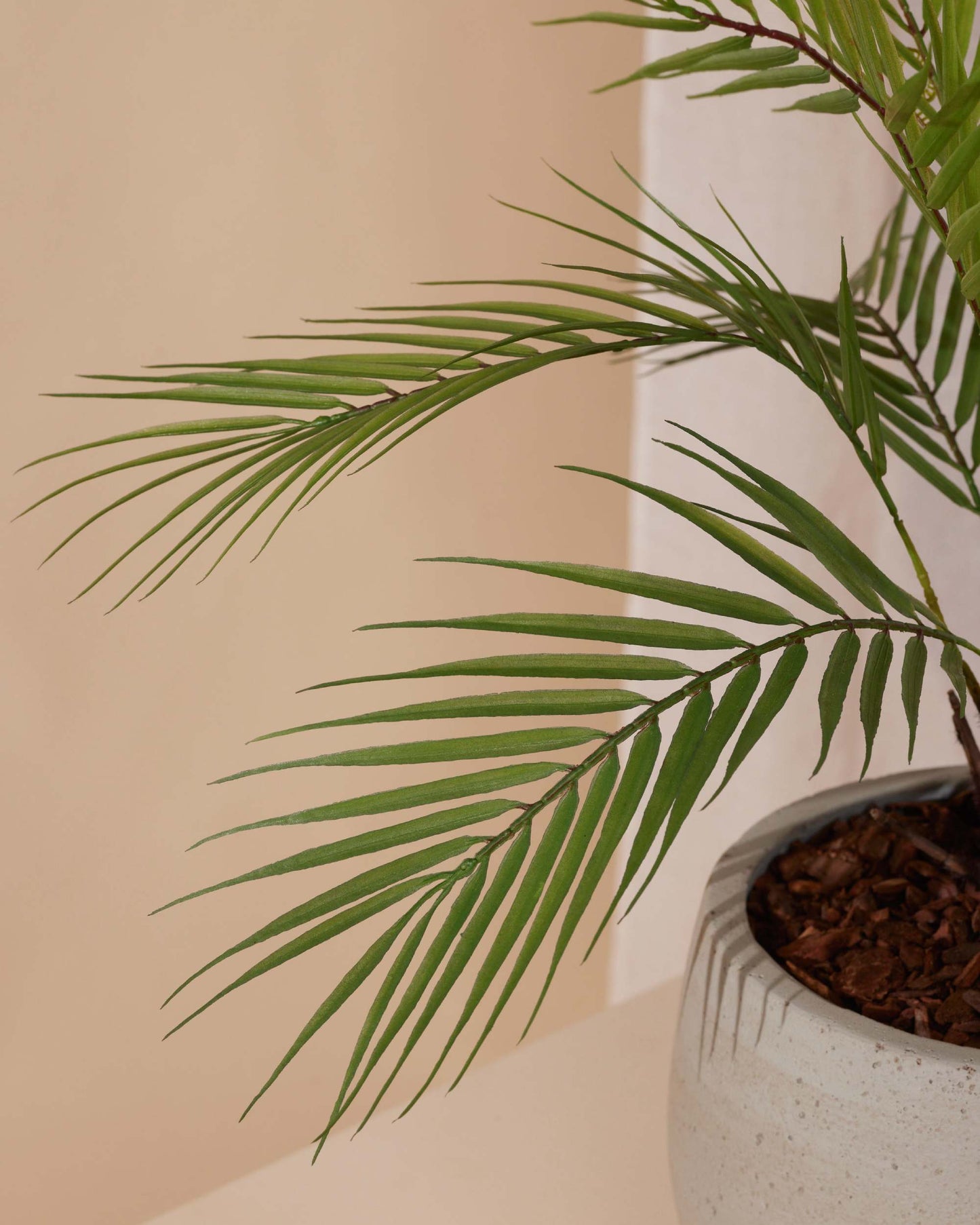 Kunstplant Palm chamaedora 50 cm - RHODÉ