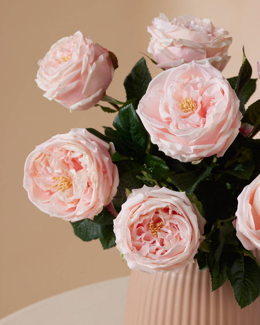 Je geliefde verrassen met Valentijnsdag, hoe doe je dat Je geliefde verrassen met Valentijnsdag, hoe doe je dat