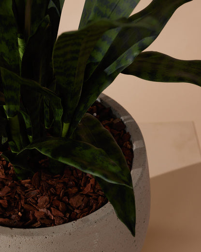 Kunstplant Sanseveria 97 cm - RHODÉ