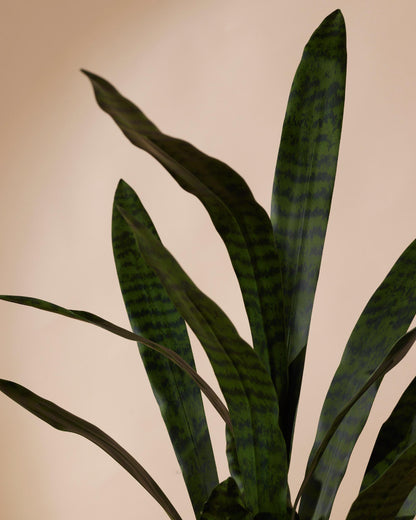 Kunstplant Sanseveria 97 cm - RHODÉ