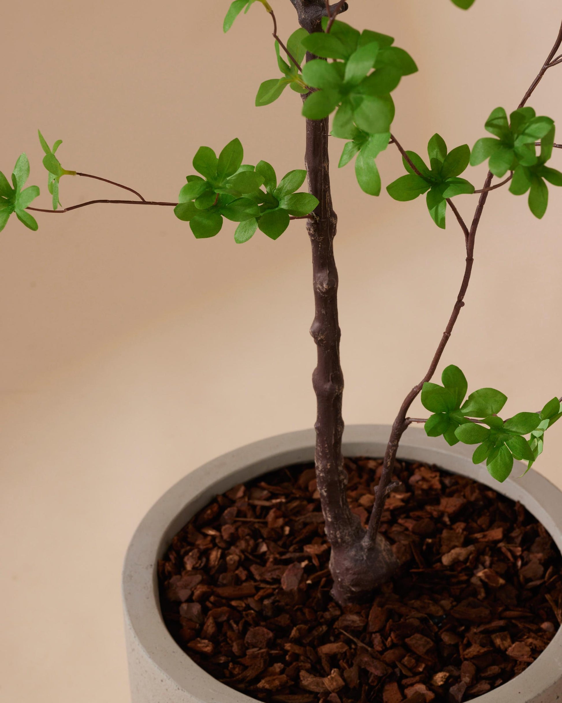 Kunstboom Tropaeolum speciosum 150 cm - RHODÉ