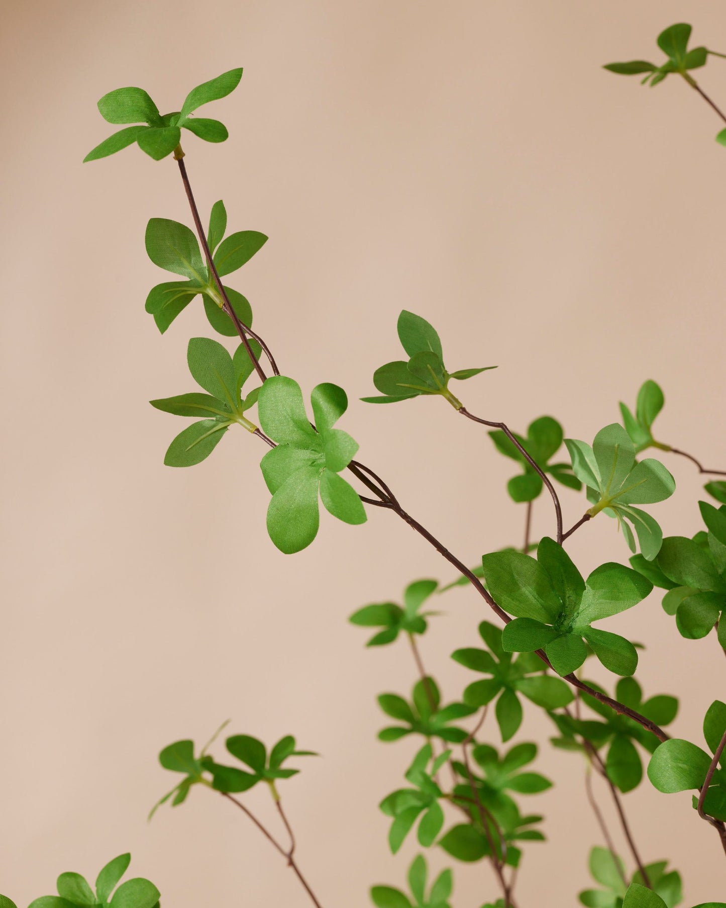 Kunstboom Tropaeolum speciosum 150 cm - RHODÉ